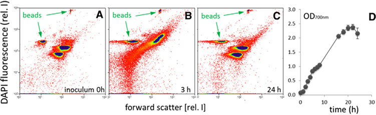 Figure 237.