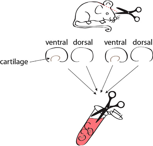 Figure 105.