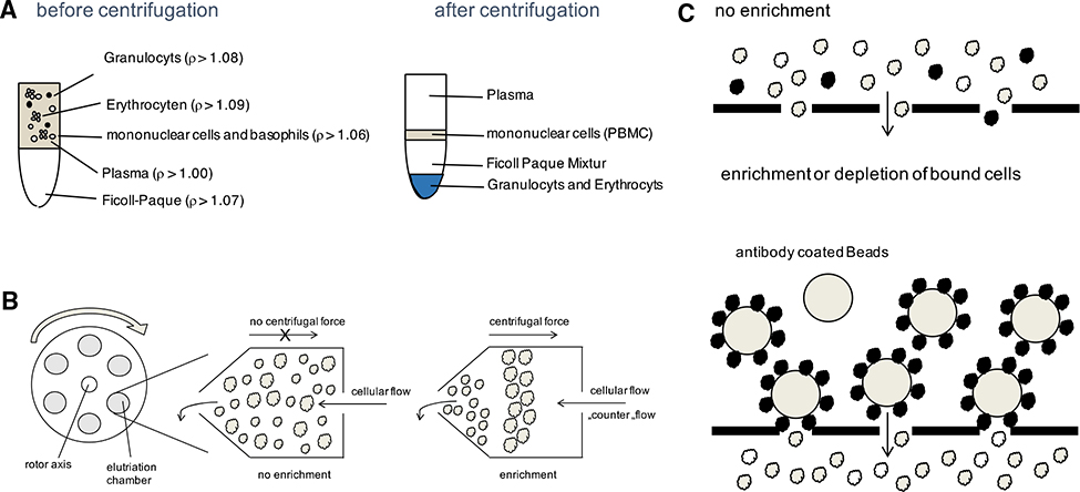 Figure 21.