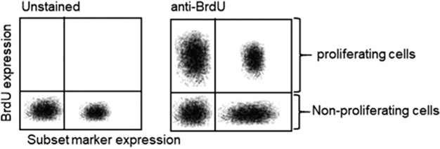 Figure 37.
