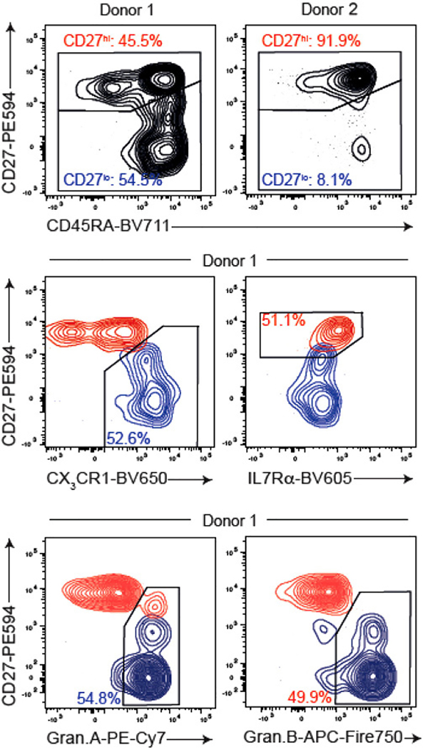 Figure 131.