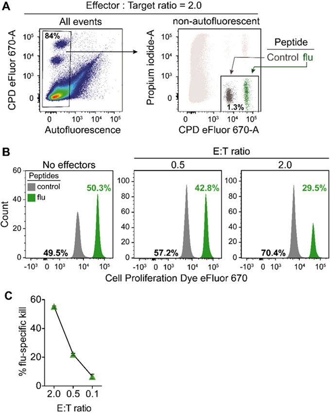 Figure 71.