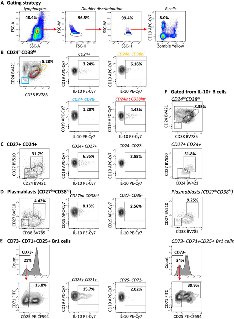 Figure 148.
