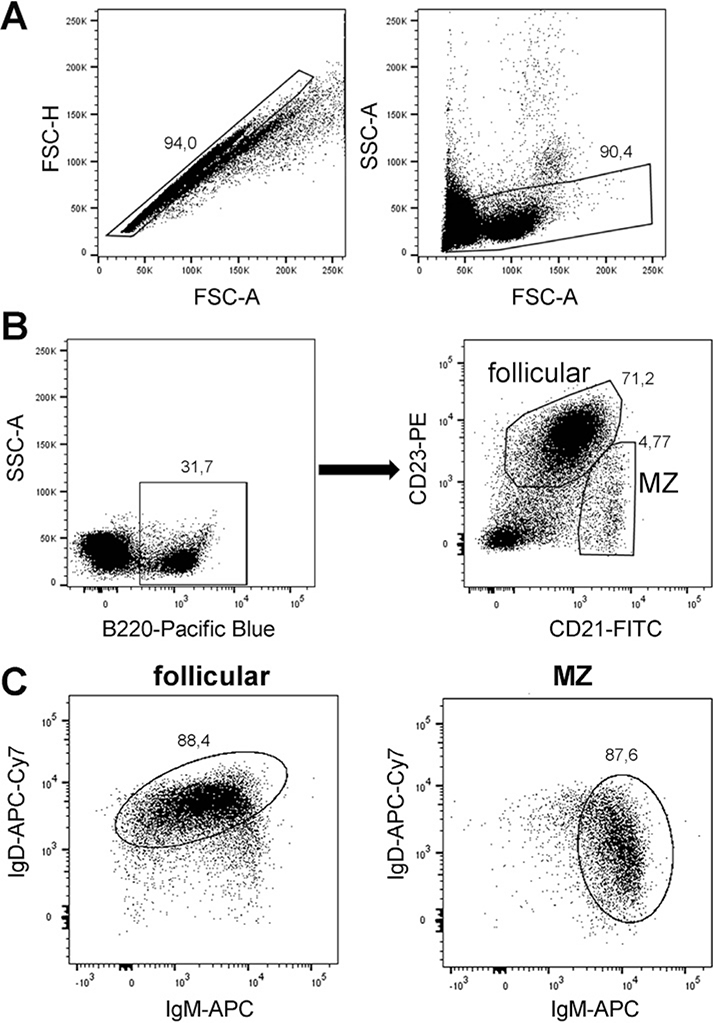 Figure 139.