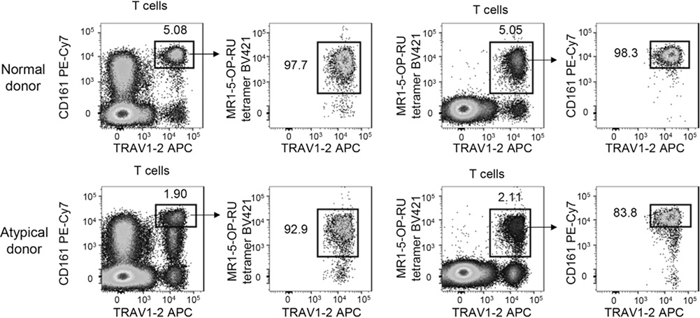Figure 135.