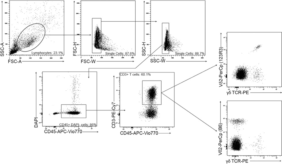 Figure 128.