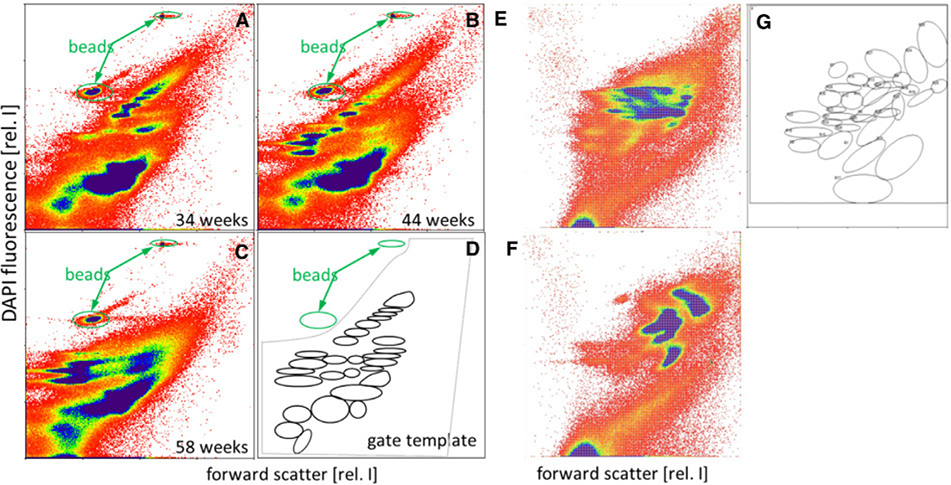 Figure 238.