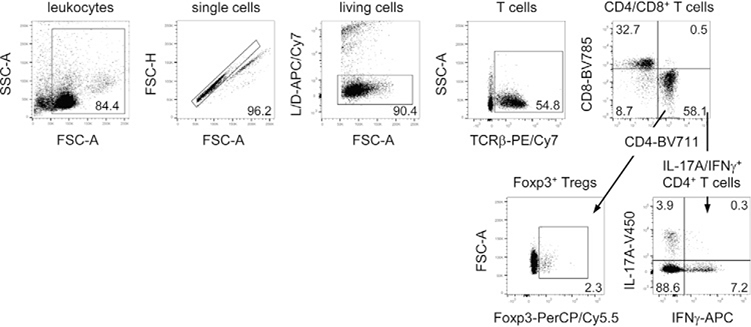 Figure 186.