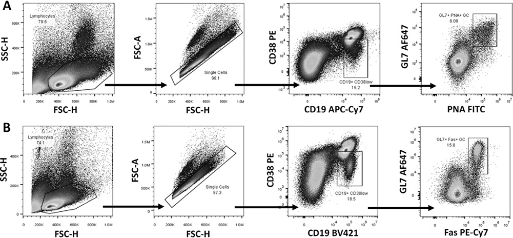 Figure 141.