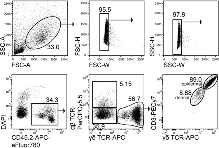 Figure 106.