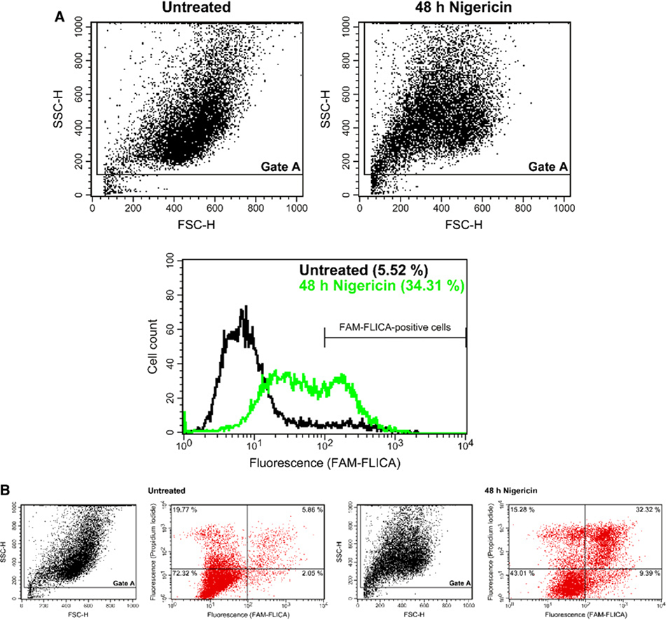 Figure 42.