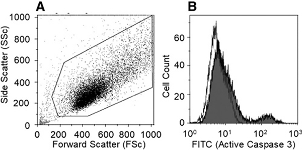 Figure 40.
