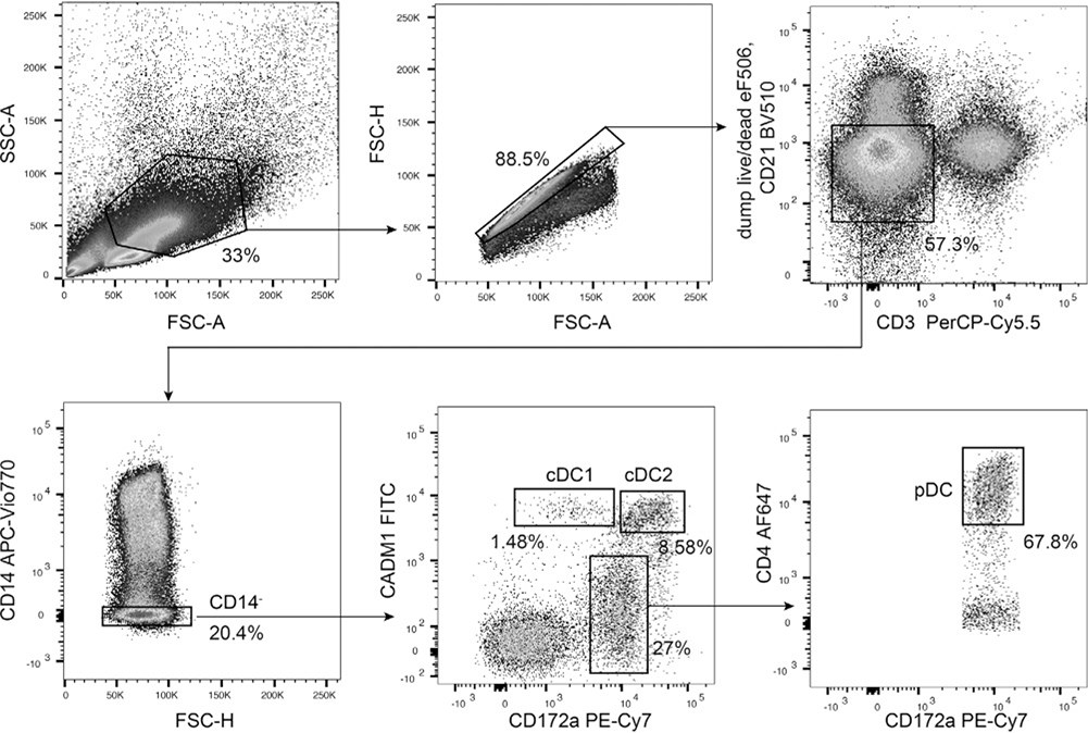 Figure 200.