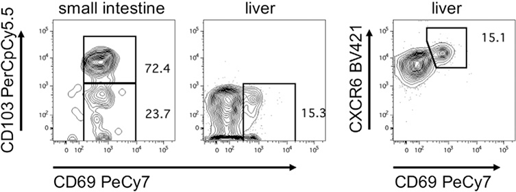 Figure 91.