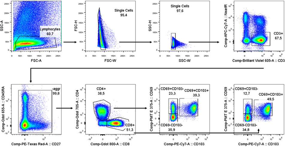 Figure 121.