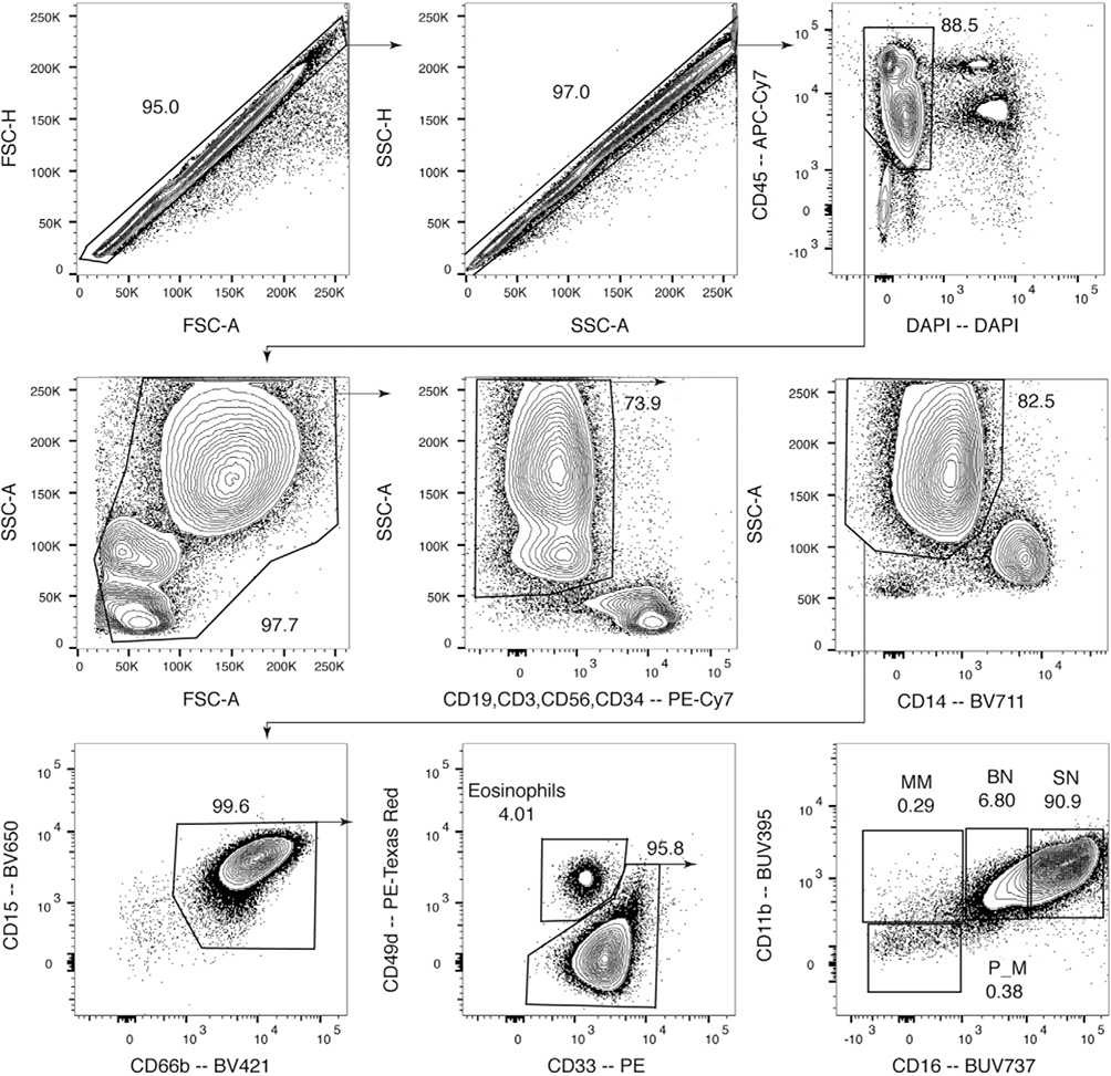 Figure 175.