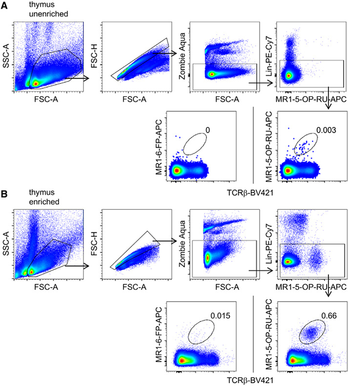 Figure 111.