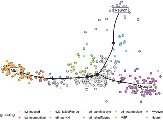 Figure 212.