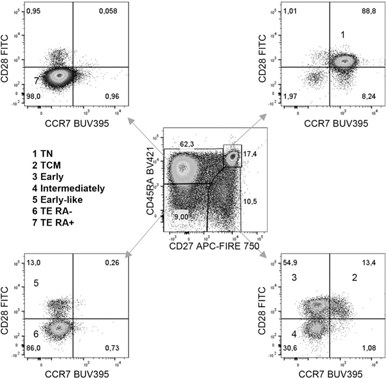 Figure 116.