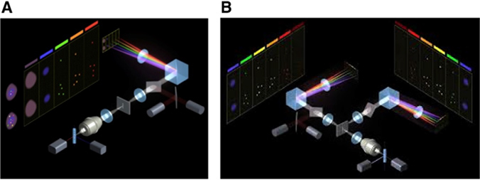 Figure 220.