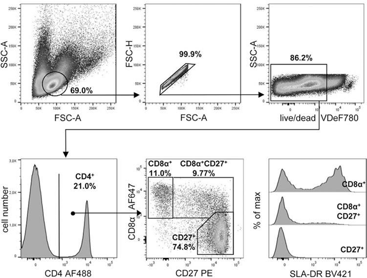 Figure 194.