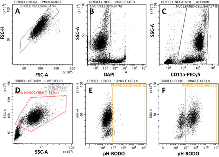 Figure 44.