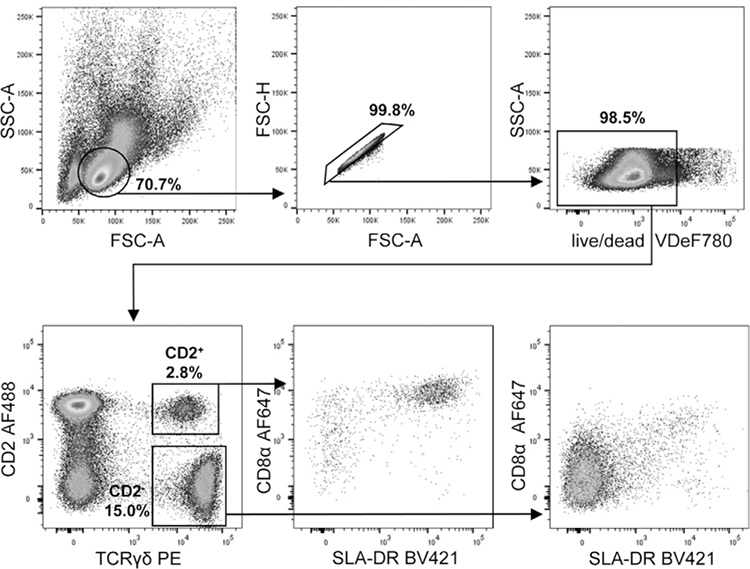 Figure 193.