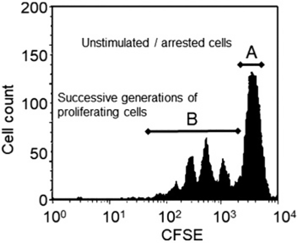 Figure 38.