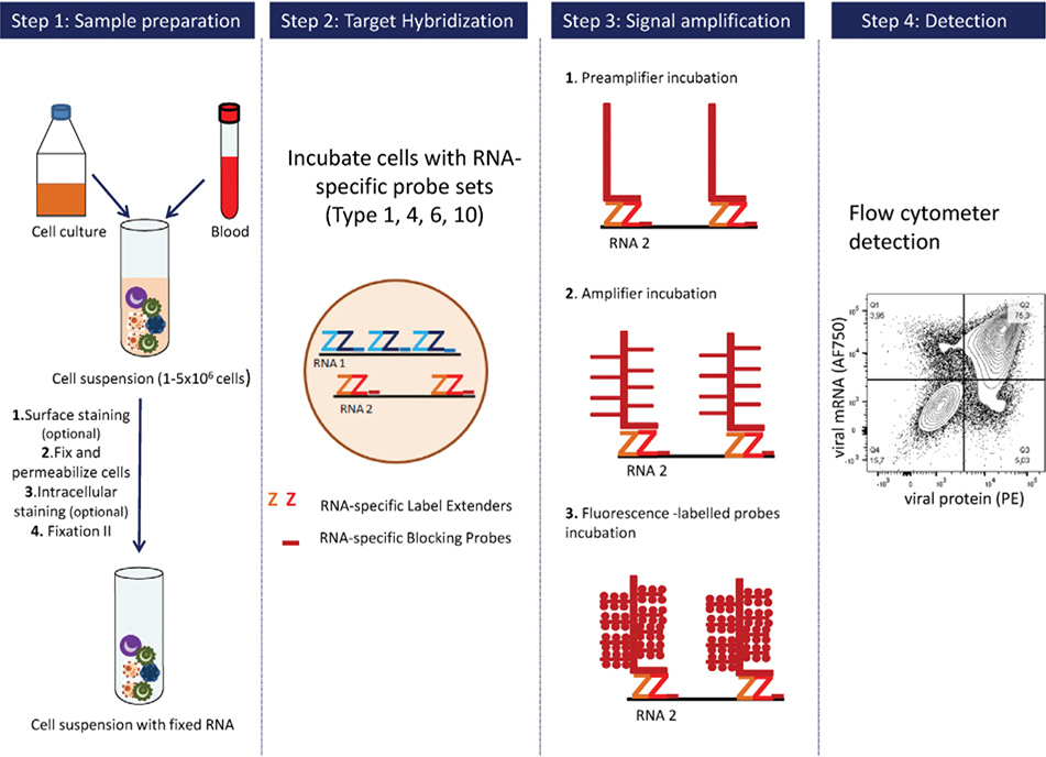 Figure 52.