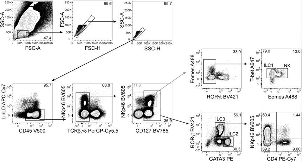 Figure 156.