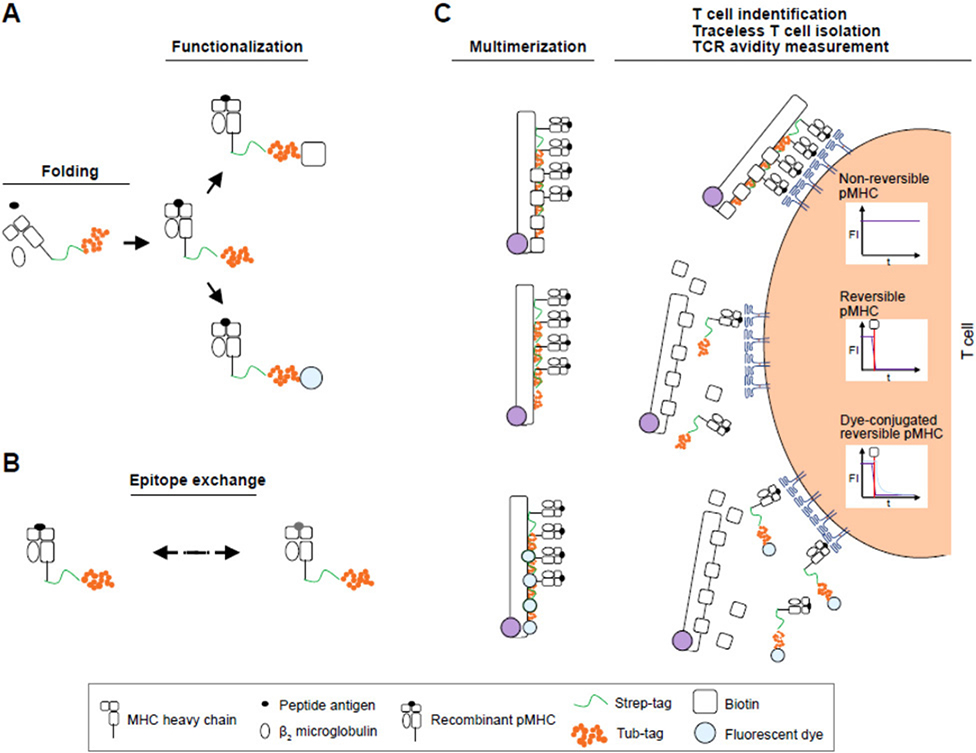 Figure 64.