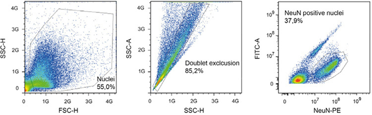Figure 185.