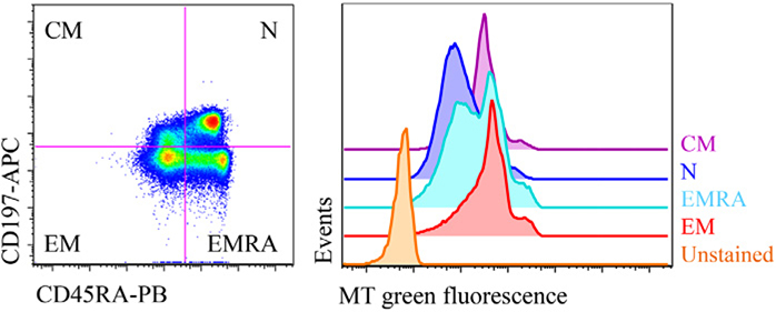 Figure 32.