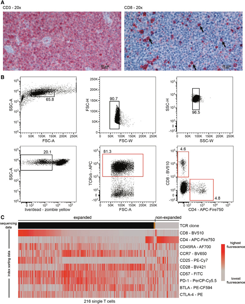 Figure 241.