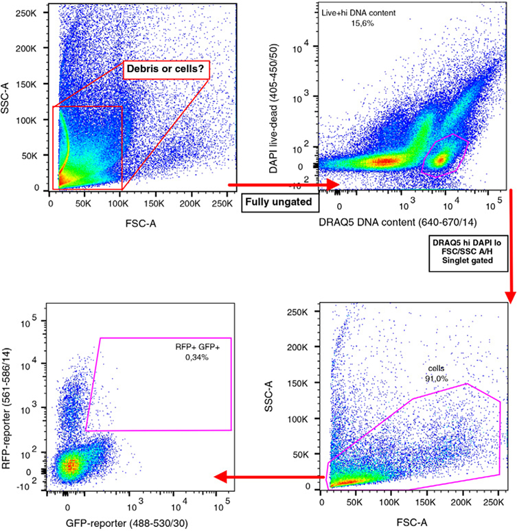 Figure 233.