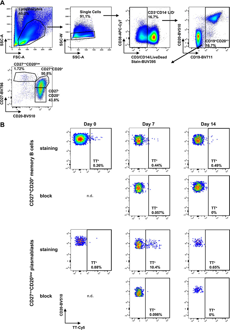 Figure 145.