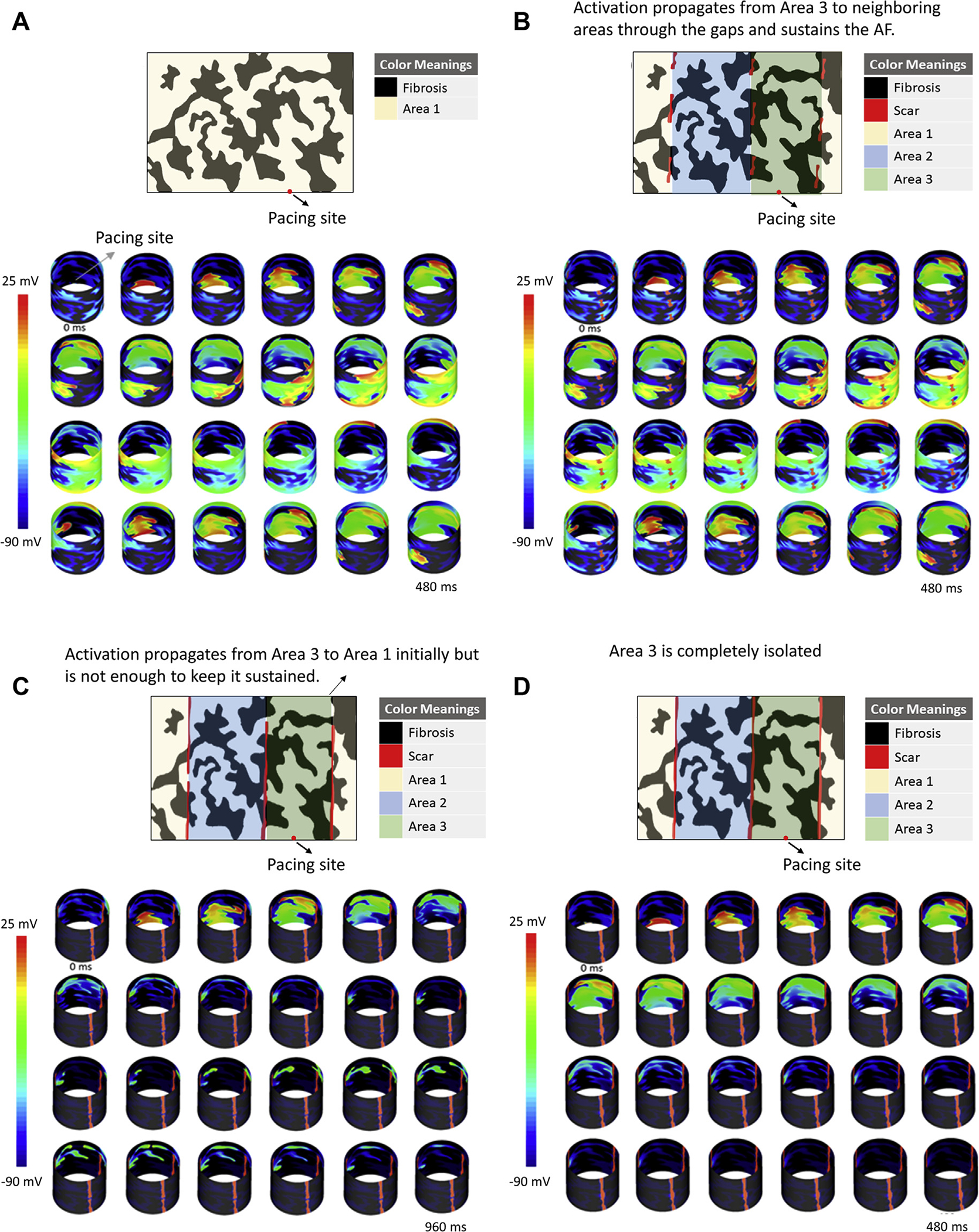 FIGURE 3