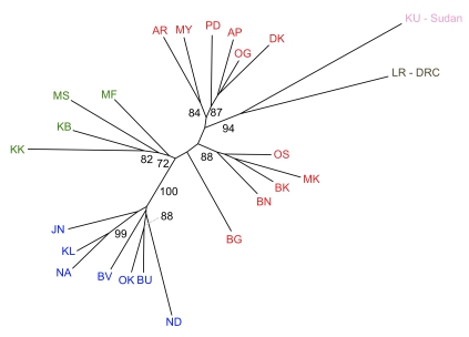 Figure 5