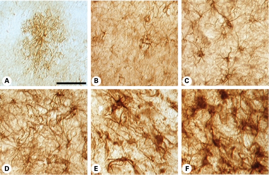 Figure 7.