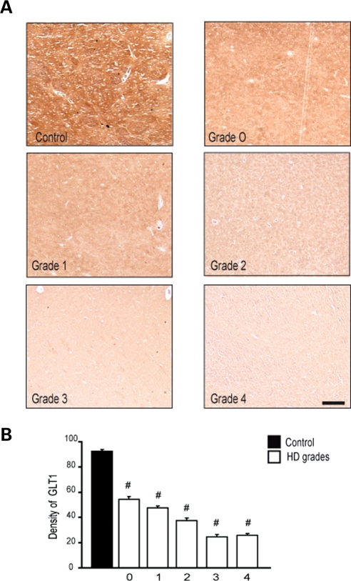 Figure 10.