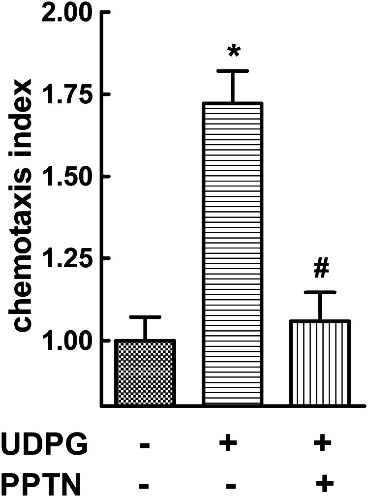 Fig. 9.