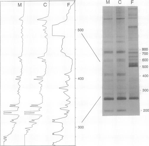 graphic file with name pnas01127-0358-a.jpg