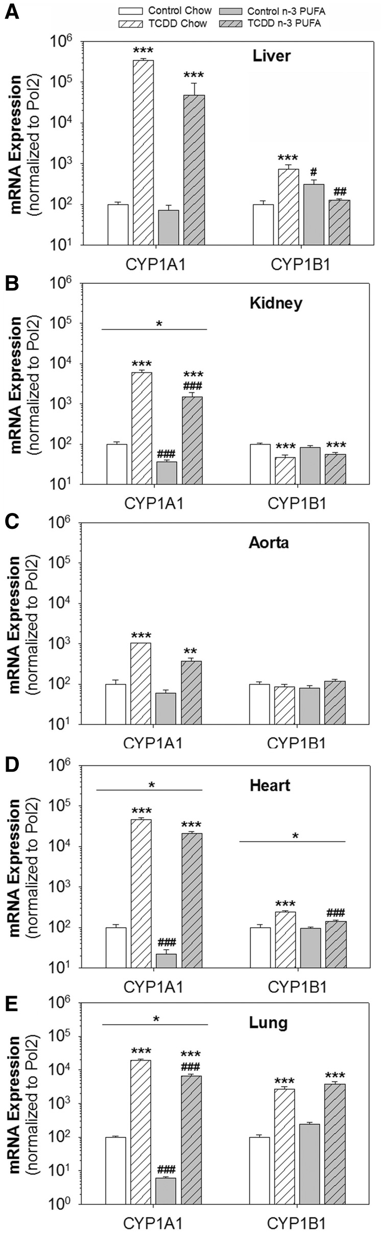 FIG. 6