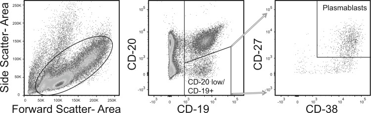 Fig 1