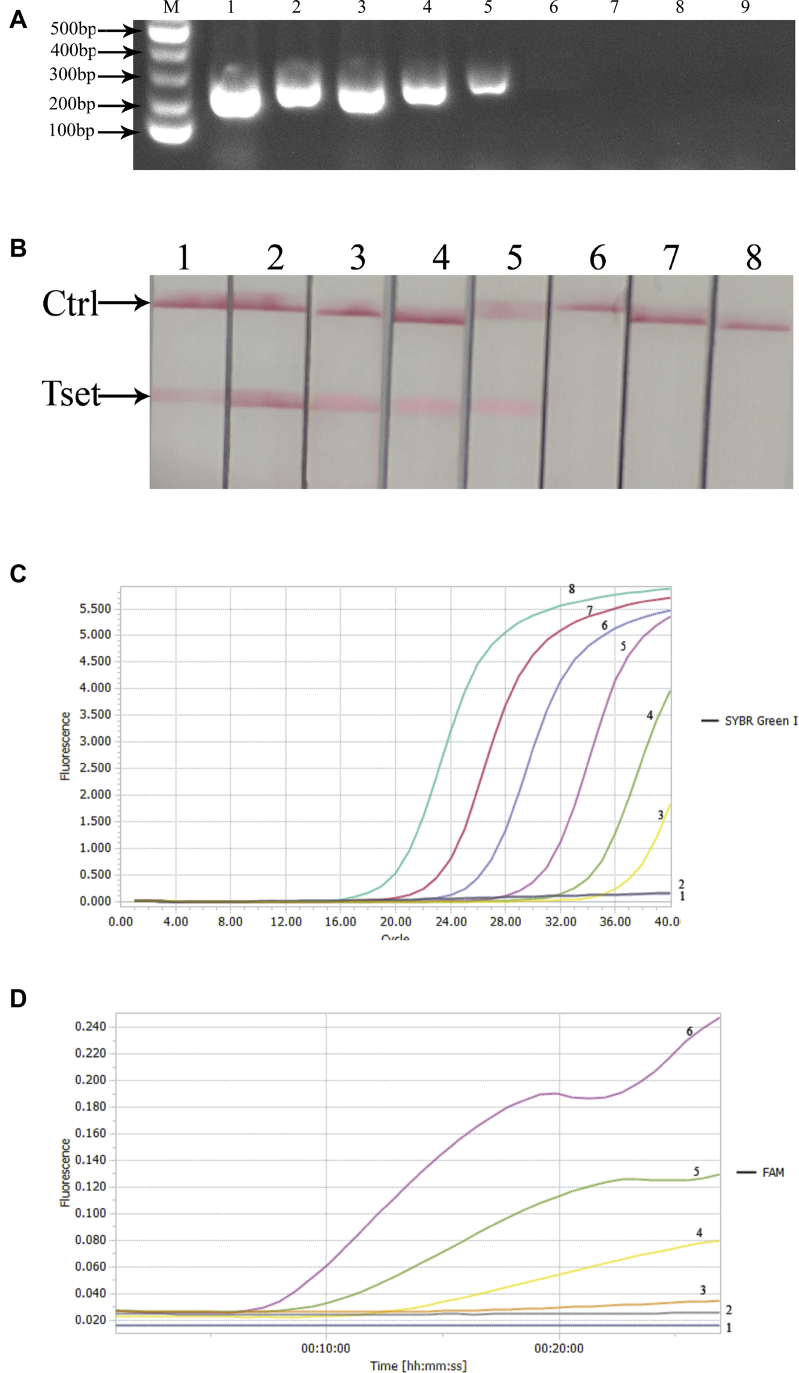 Figure 6