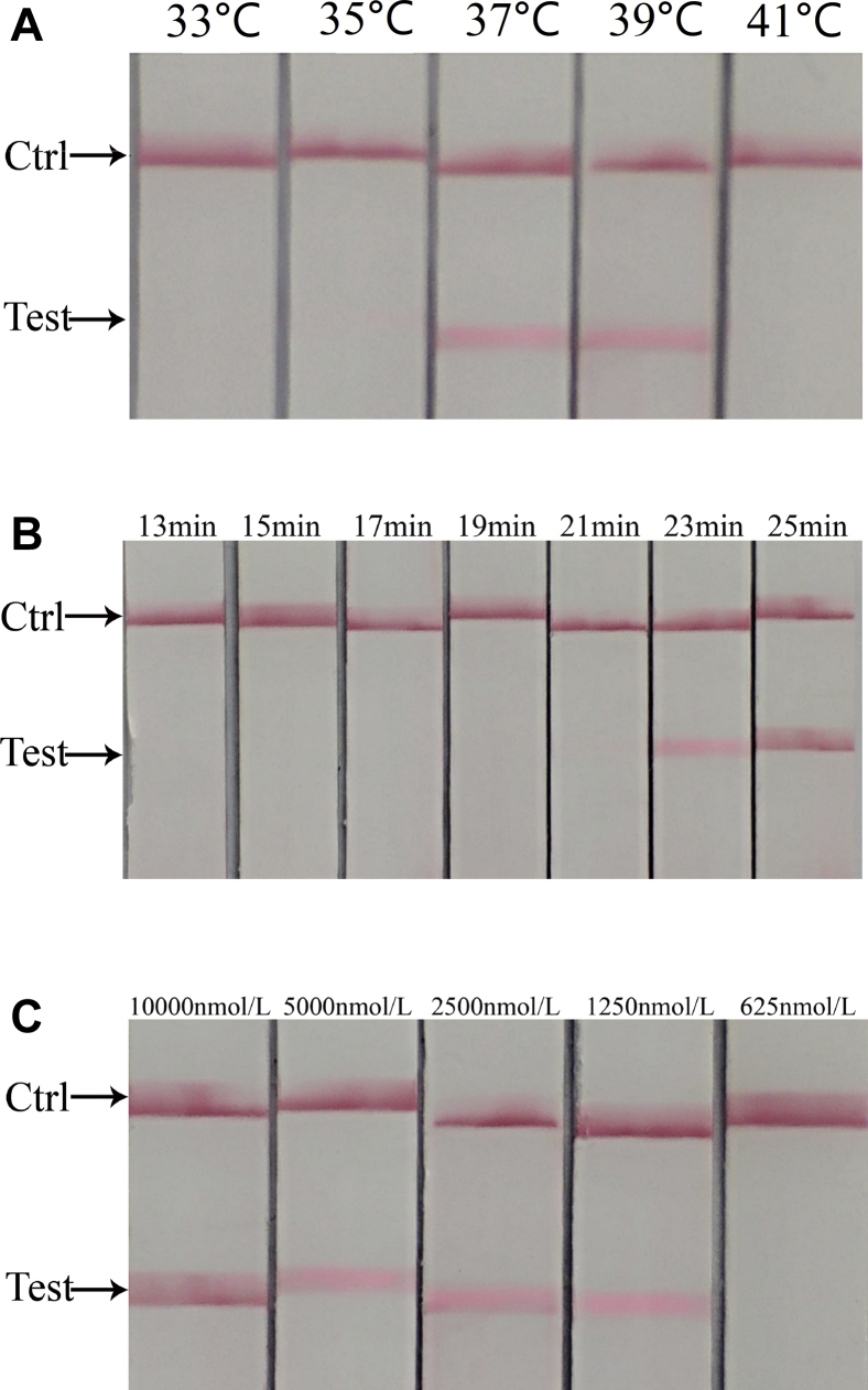 Figure 2