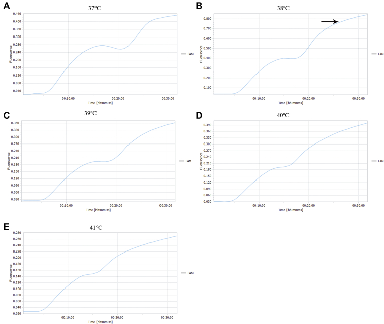 Figure 3