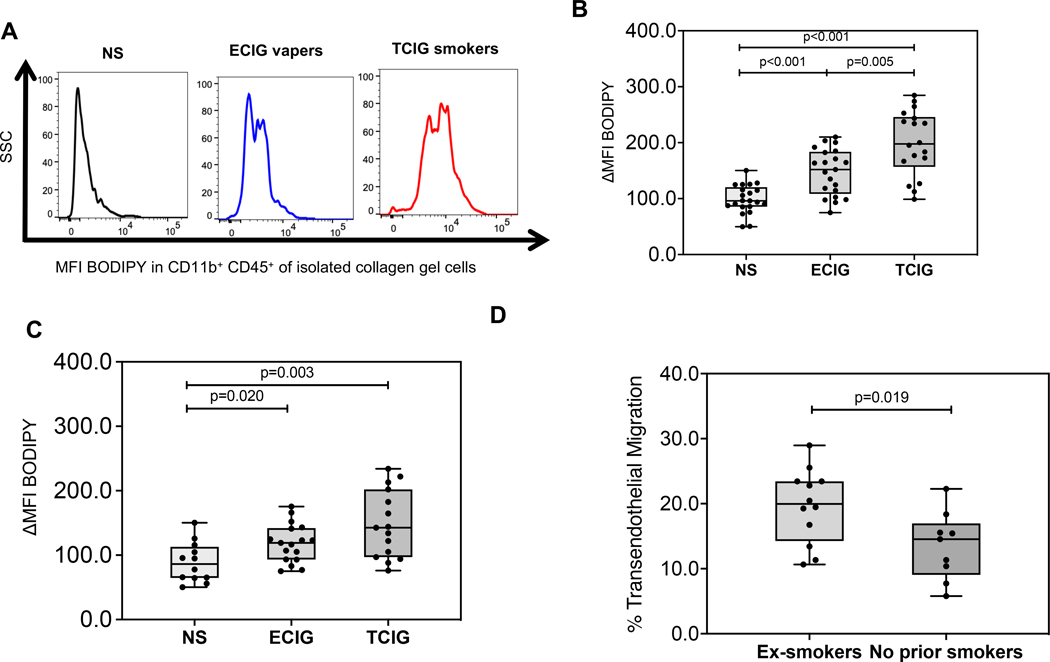 Figure 2: