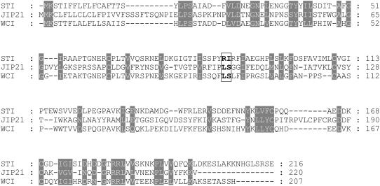 Figure 7.