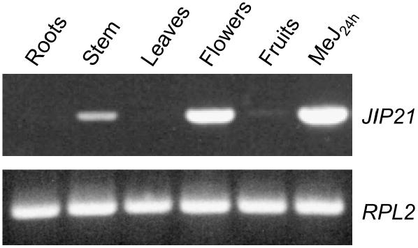 Figure 3.